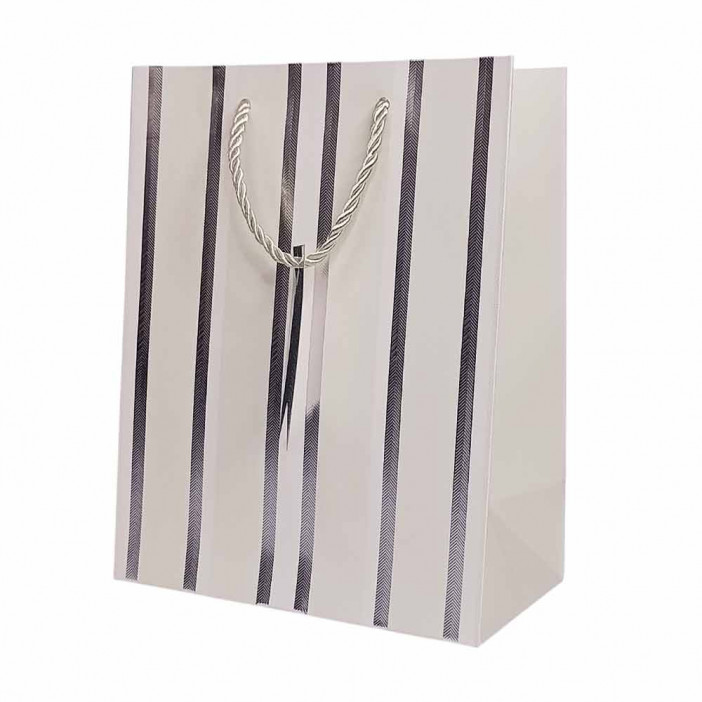 Пакет ЛЮКС Полоска с металлическим тиснением размер 18*23*10см