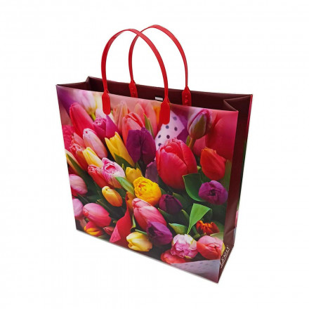 Пакет сумка размер 30*30см Разноцветные тюльпаны