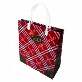 Пакет сумка размер 23*26см Клетка красный