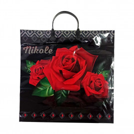 Пакет с пластмассовыми ручками 36*40см Nikole 10шт