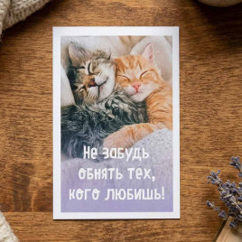 Мини-открытка Не забудь обнять 5,5*8см