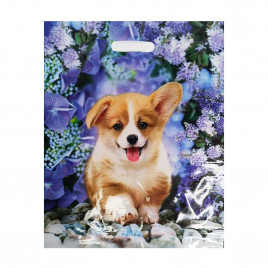 Пакет с вырубной ручкой Рыжик 38*47см 60мкм 50шт