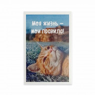 Мини-открытка Котики Моя жизнь мои правила 5,5*8см