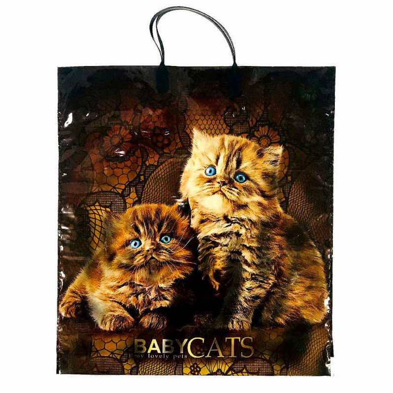 Пакет с пластмассовыми ручками 40*44см Baby cats 10шт
