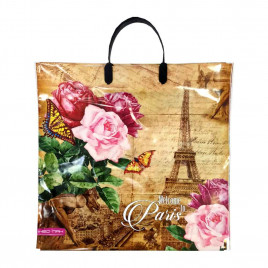 Пакет с пластмассовыми ручками 36*40см Париж 10шт