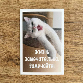 Мини-открытка Жизнь замечательна 5,5*8см