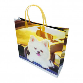 Пакет сумка размер 30*30см Белый щенок