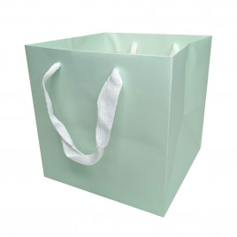 Пакет ЛЮКС однотонный размер 16*16*16см