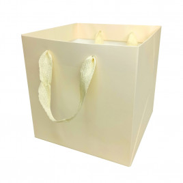 Пакет ЛЮКС однотонный размер 16*16*16см