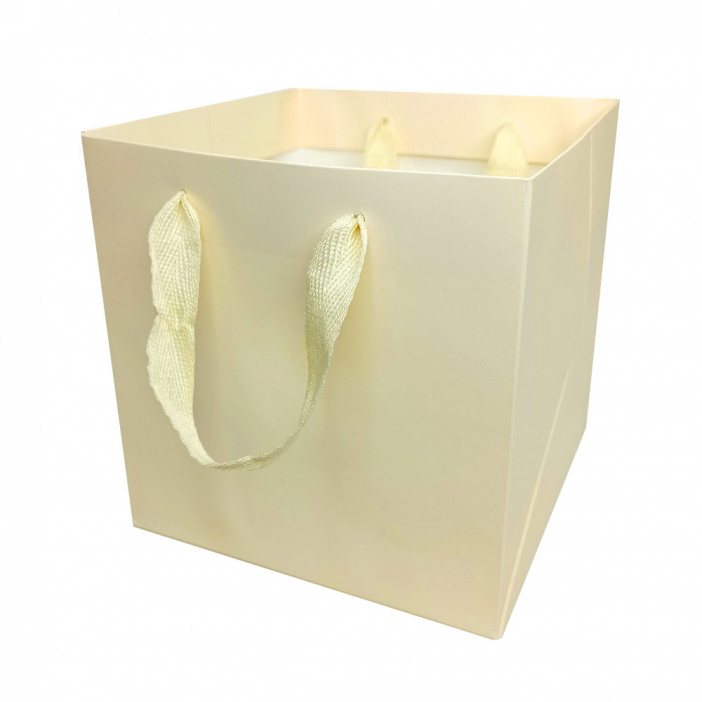 Пакет ЛЮКС однотонный размер 16*16*16см