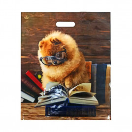 Пакет с вырубной ручкой Умник 38*47см 60мкм 50шт