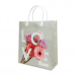 Пакет сумка размер 23*26см LOVE