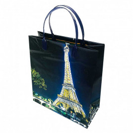 Пакет сумка размер 23*26см Париж