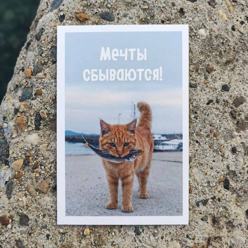 Мини-открытка Мечты сбываются 5,5*8см
