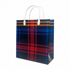 Пакет сумка размер 23*26см Красные полосы