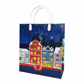 Пакет сумка размер 23*26см Снежный город
