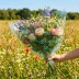 Пленка в рулоне с рисунком Бабочки мятные размер 70см