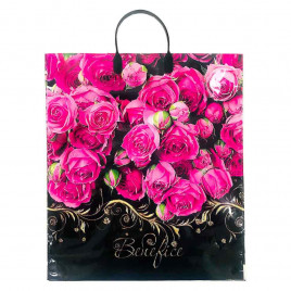 Пакет с пластмассовыми ручками 40*44см Benefice 10шт