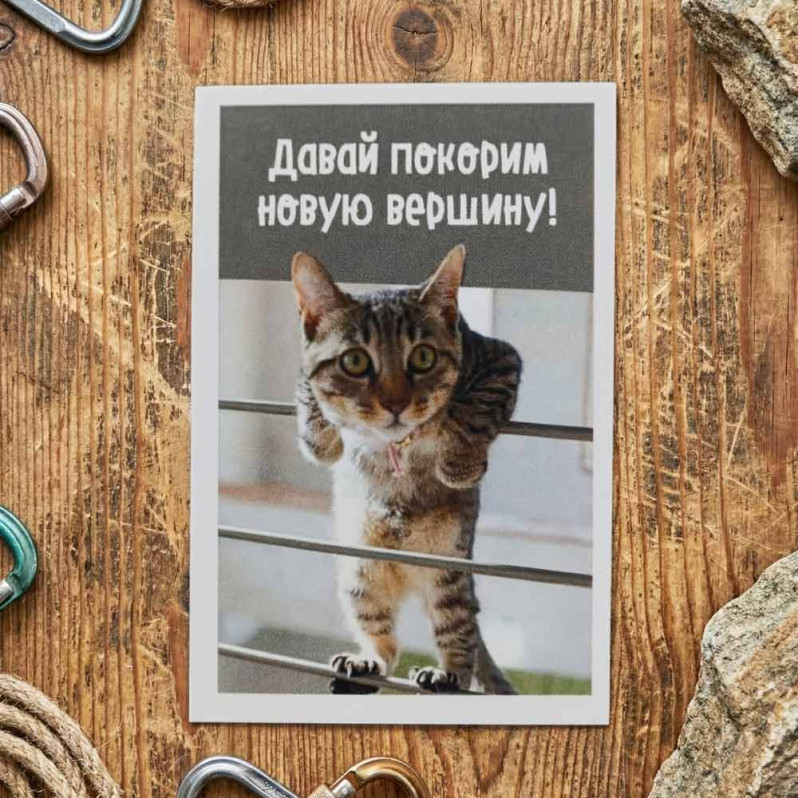 Мини-открытка Давай покорим вершину 5,5*8см