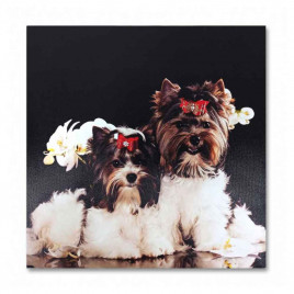 Картина Собаки на темном фоне размер 40*40см