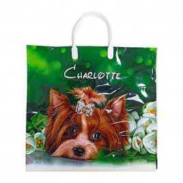 Пакет с пластмассовыми ручками 36*40см Шарлотта 10шт