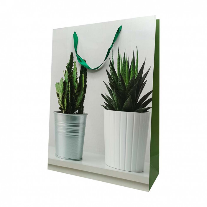 Пакет ЛЮКС Суккуленты размер 31*42*12см