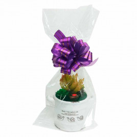 Пакет подарочный прозрачный размер 15*30см (уп 50шт)