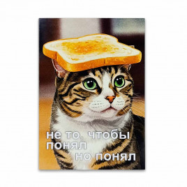 Мини-открытка Не то, чтобы понял 7*10см