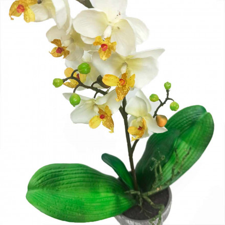 Цветок в кашпо Орхидея белая Н-51см