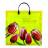 Пакет с пластмассовыми ручками Тюльпаны в 2-х расцветках