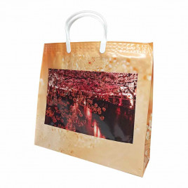 Сумка с пластмассовыми ручками многослойная с карманами Весна 37*34см