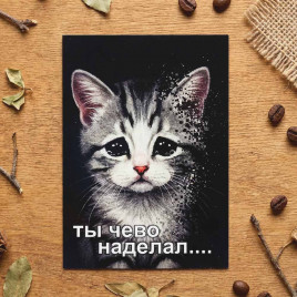 Мини-открытка Ты чево наделал 7*10см