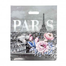 Пакет с вырубной ручкой Парижский вид 40*47см 45мкм 50шт