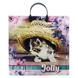 Пакет с пластмассовыми ручками 36*40см Jolly 10шт