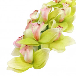 Цимбидиум H-87см