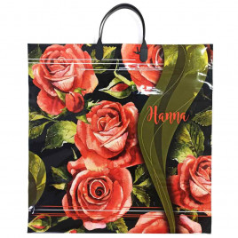 Пакет с пластмассовыми ручками 40*44см Hanna 10шт