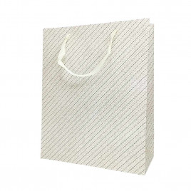 Пакет ЛЮКС Косая полоска размер 26*32*12см