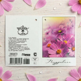 Мини-открытка Поздравляю 5*7,5см арт 872