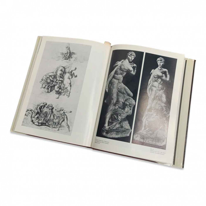 Книга Альбом  Микеланджело и его время 1978г
