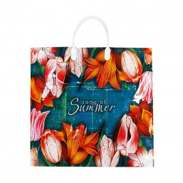 Пакет с пластмассовыми ручками 36*40см Summer 10шт