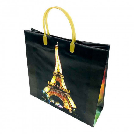Пакет сумка размер 30*30см Эйфелева башня черный