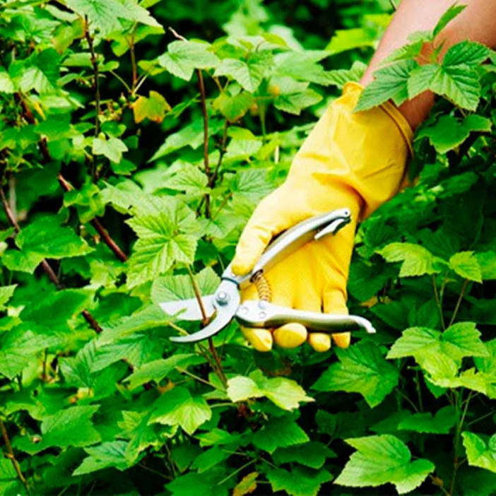 Перчатки Комфи латексные c хлопковым напылением размер S, XL