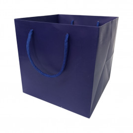 Пакет ЛЮКС однотонный размер 21*21*21см