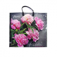 Сумки с пластиковыми ручками